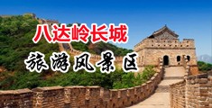 日本大黄网站中国北京-八达岭长城旅游风景区